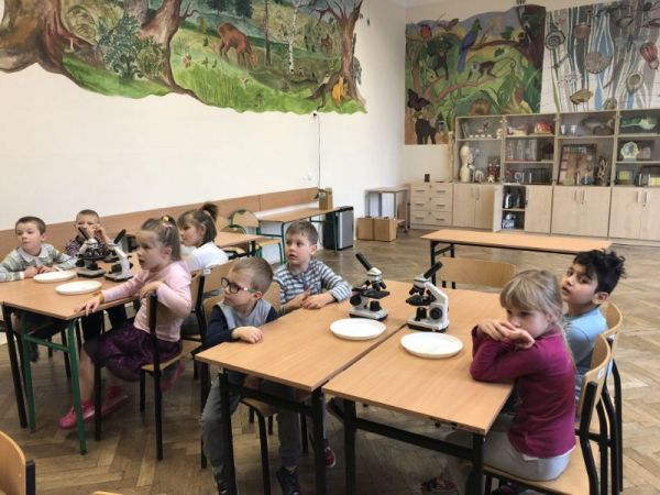 zajęcia adaptacyjne003.jpg