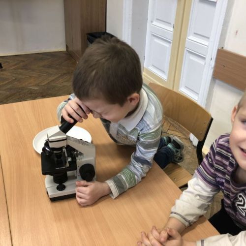 zajęcia adaptacyjne009.jpg