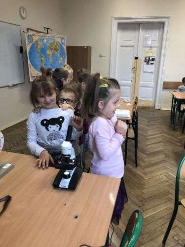 zajęcia adaptacyjne018.jpg