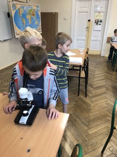 zajęcia adaptacyjne022.jpg