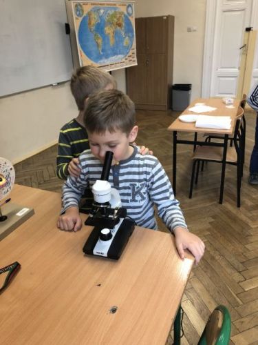 zajęcia adaptacyjne024.jpg