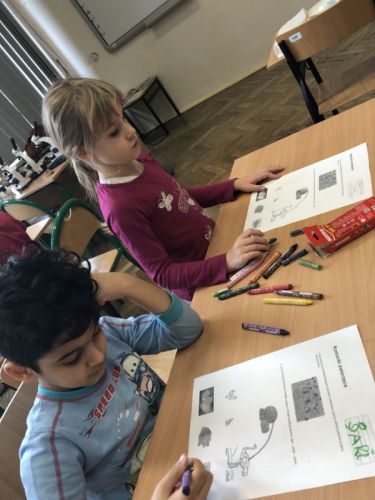 zajęcia adaptacyjne029.jpg