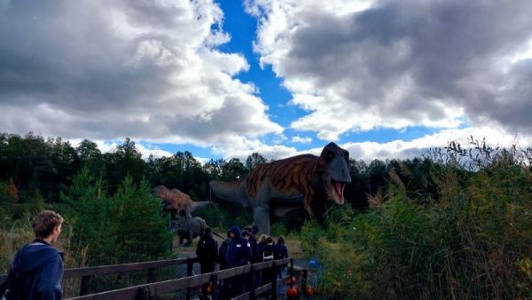 20261013_125105.jpg