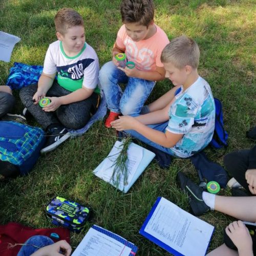 na st szkoly lekcja w terenie (3).jpg